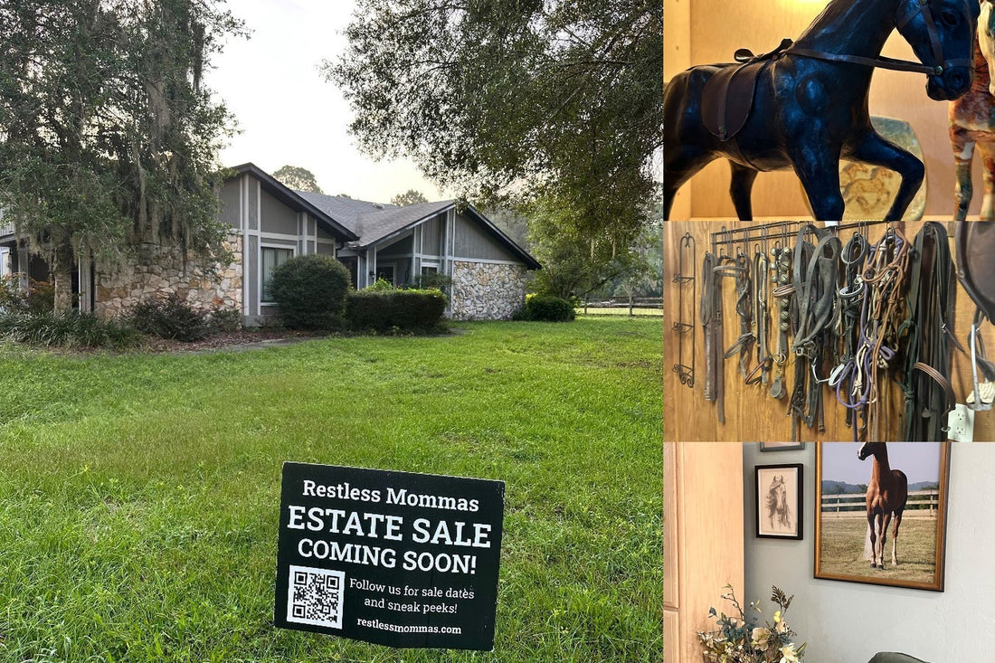 Farms of Kanapaha Estate Sale • Morgan Horse Tack • Chico’s